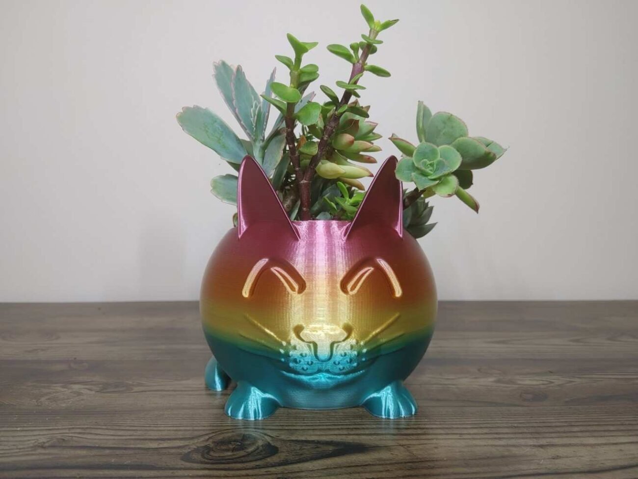 Jamie Creates 3D Printed Animal Planter Cat Rainbow Colour with Succulent Medium Front Cat Planter - Rapid Rainbow - Select Size