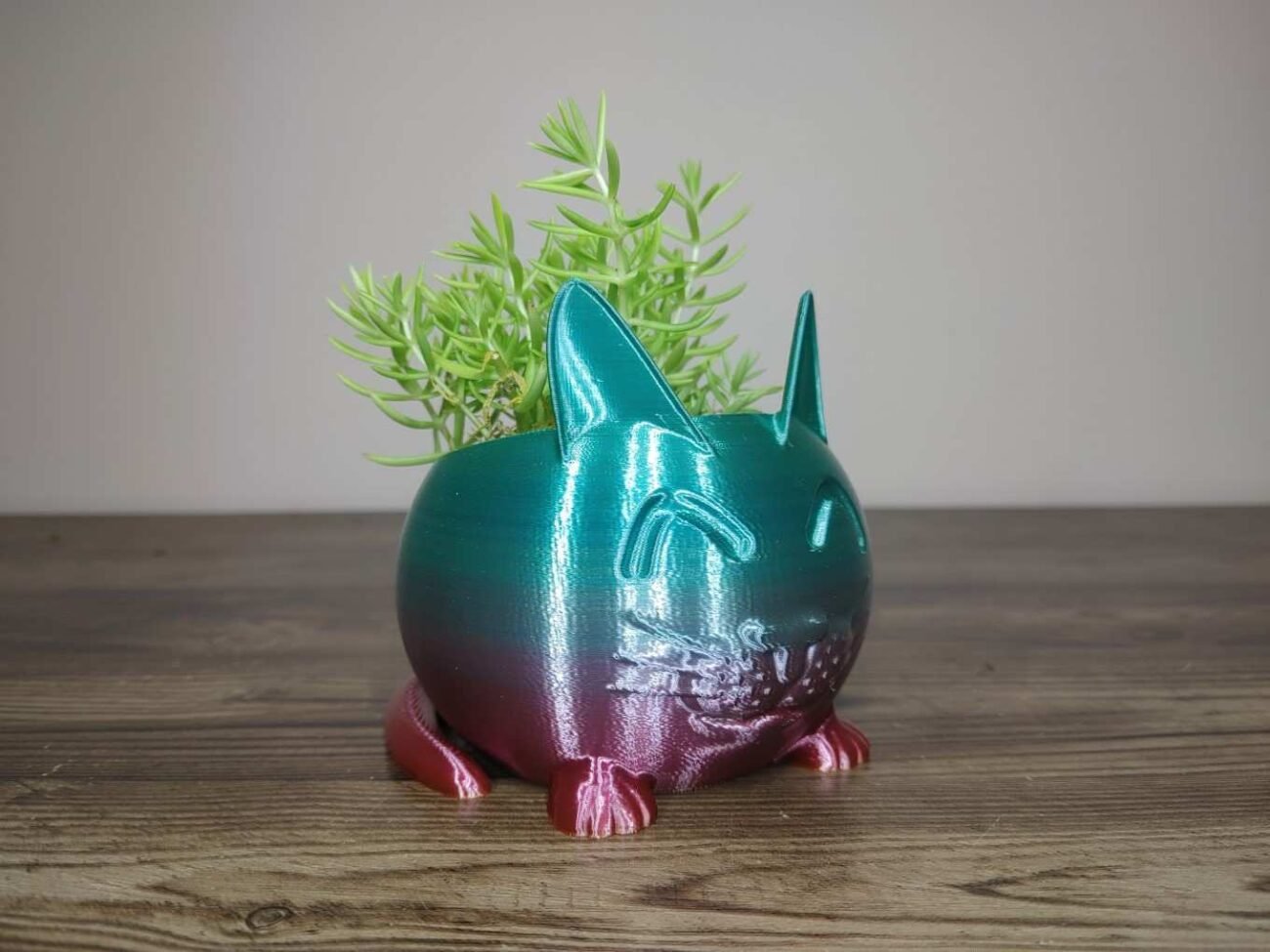 Jamie Creates 3D Printed Animal Planter Cat Rainbow Colour with Succulent X-Small FA Cat Planter - Rapid Rainbow - Select Size