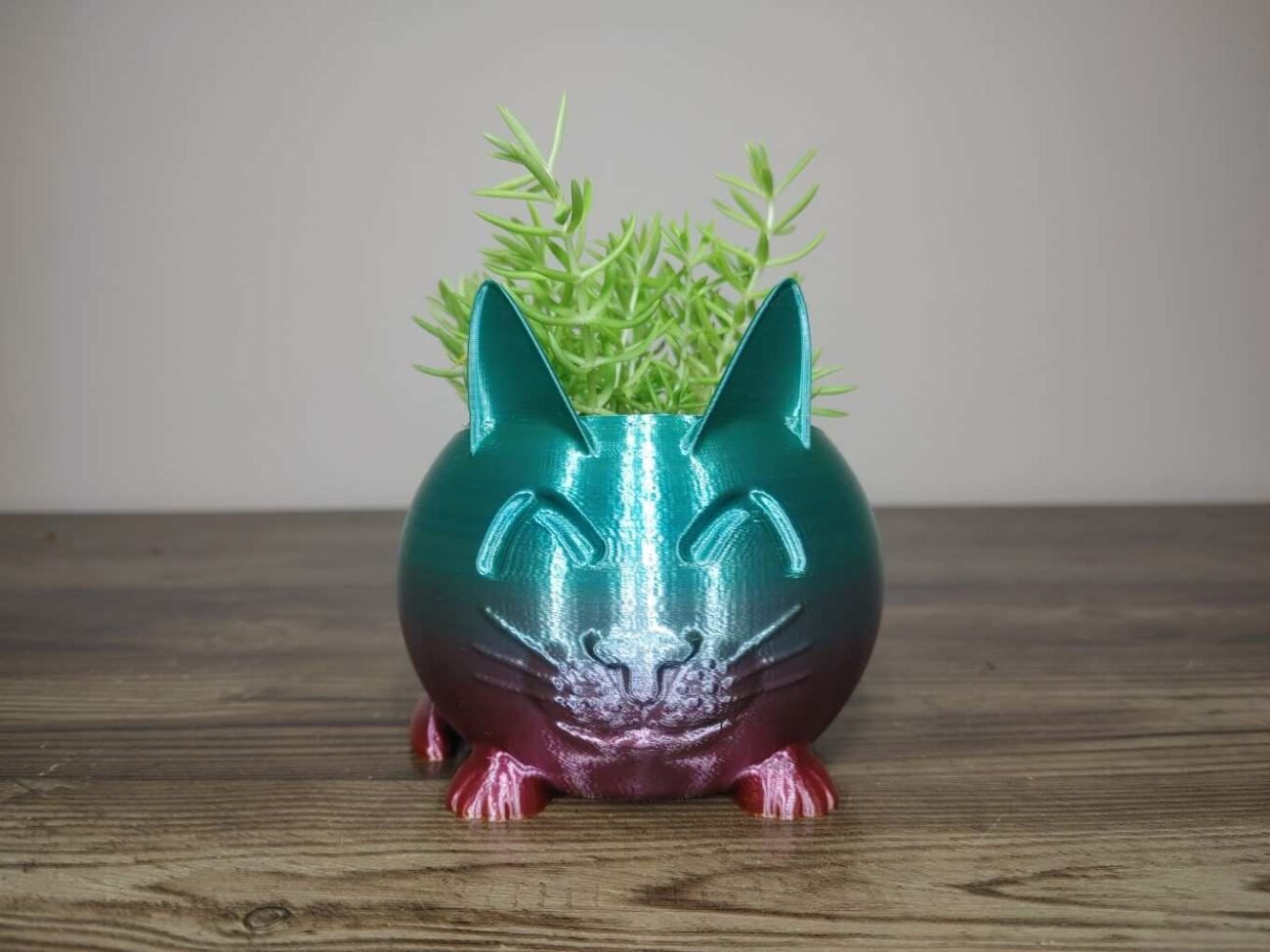 Jamie Creates 3D Printed Animal Planter Cat Rainbow Colour with Succulent X-Small Front Cat Planter - Rapid Rainbow - Select Size