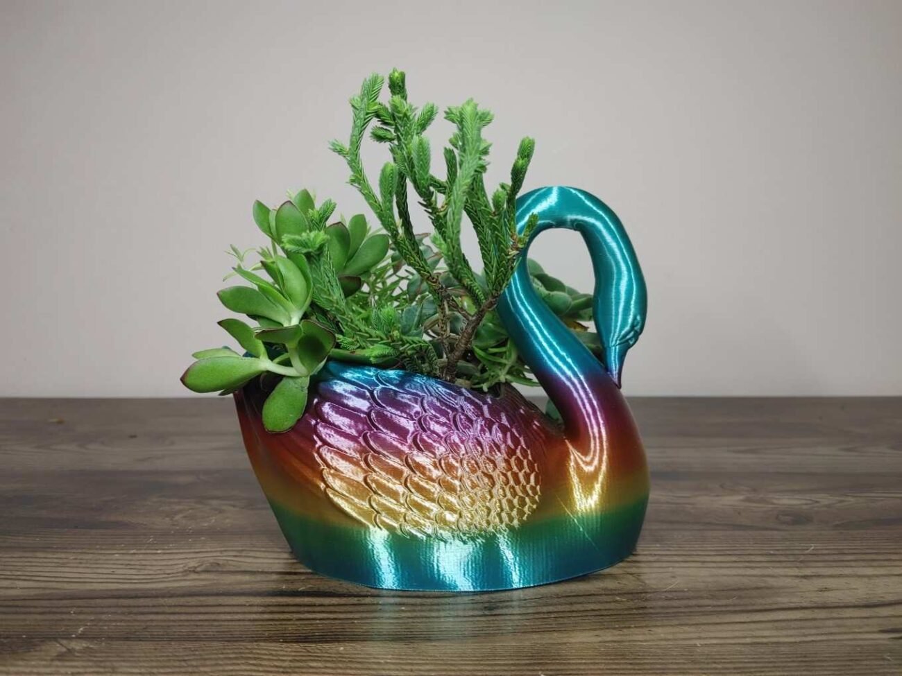 Jamie Creates 3D Printed Animal Planter Curved Swan Rainbow Colour with Succulent Medium Side Swan Curved Planter - Rapid Rainbow - Select Size