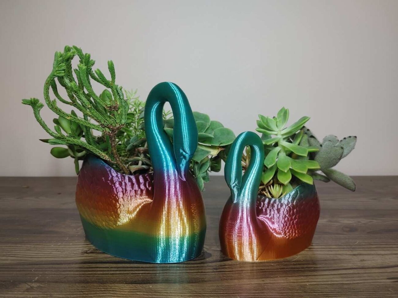 Jamie Creates 3D Printed Animal Planter Curved Swan Rainbow Colour with Succulent Other 2 Sizes Swan Curved Planter - Rapid Rainbow - Select Size