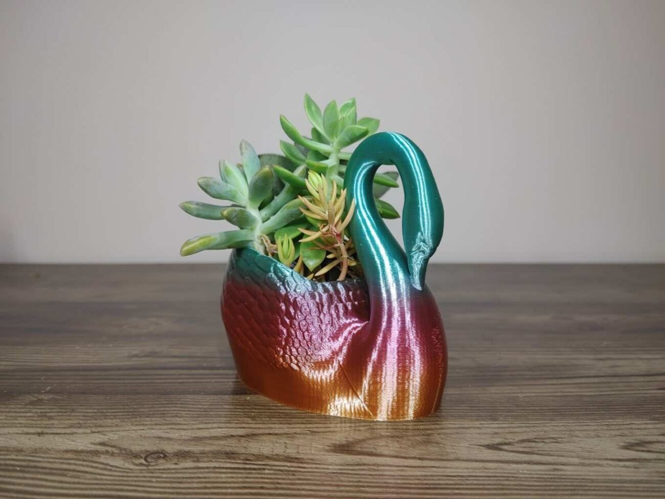 Jamie Creates 3D Printed Animal Planter Curved Swan Rainbow Colour with Succulent X-Small FA Swan Curved Planter - Rapid Rainbow - Select Size