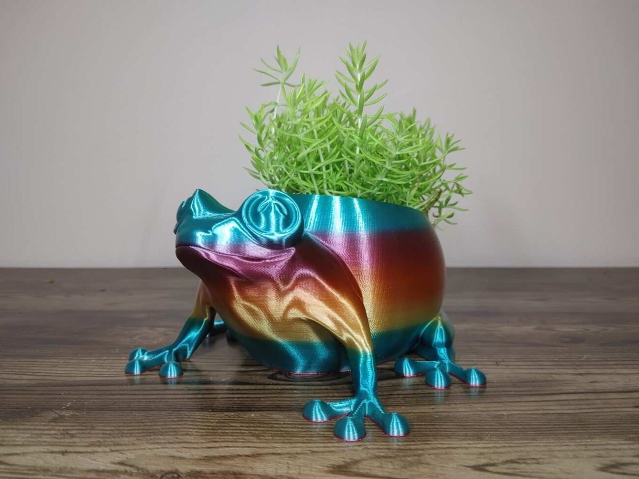 Jamie Creates 3D Printed Animal Planter Frog Rainbow Colour with Succulent Medium FA