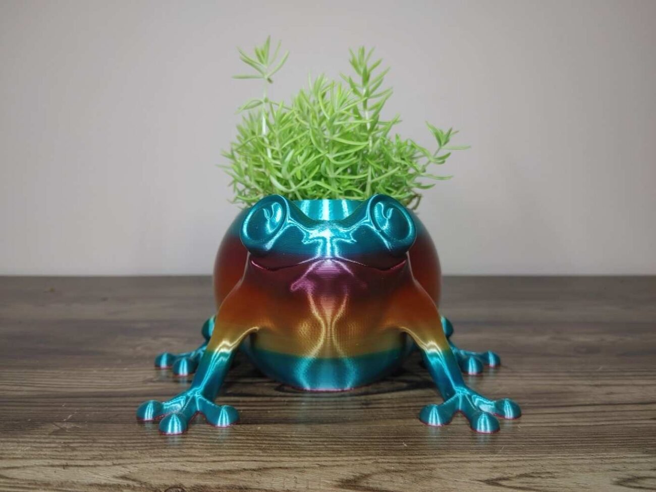 Jamie Creates 3D Printed Animal Planter Frog Rainbow Colour with Succulent Medium Front Frog Planter - Rapid Rainbow - Select Size