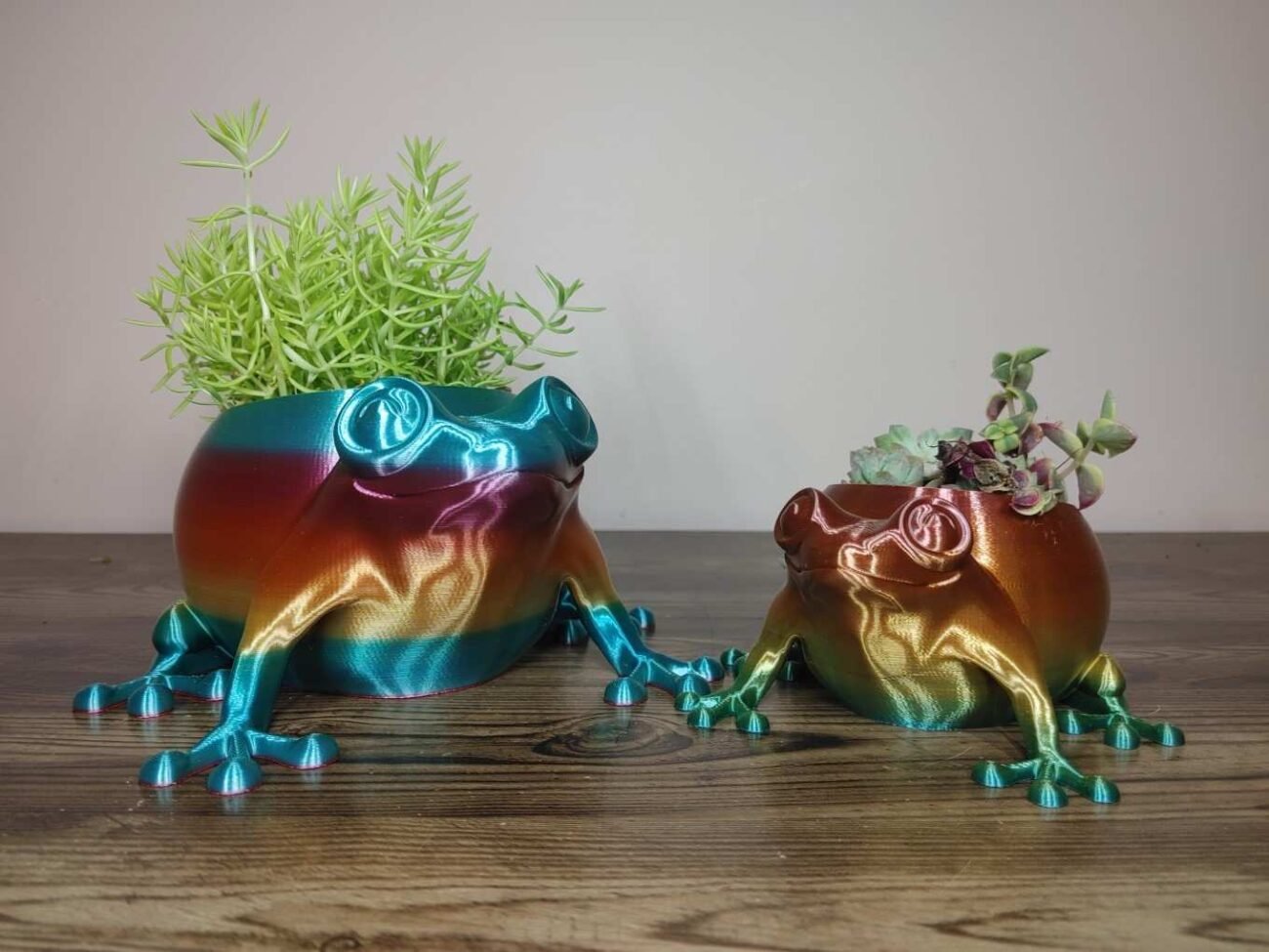 Jamie Creates 3D Printed Animal Planter Frog Rainbow Colour with Succulent Other 2 Sizes Frog Planter - Rapid Rainbow - Select Size