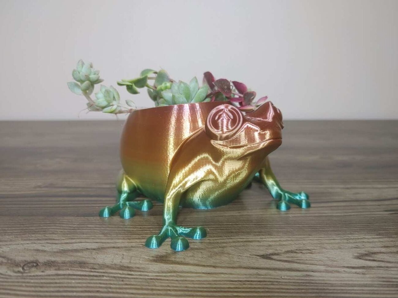 Jamie Creates 3D Printed Animal Planter Frog Rainbow Colour with Succulent X-Small FA Frog Planter - Rapid Rainbow - Select Size