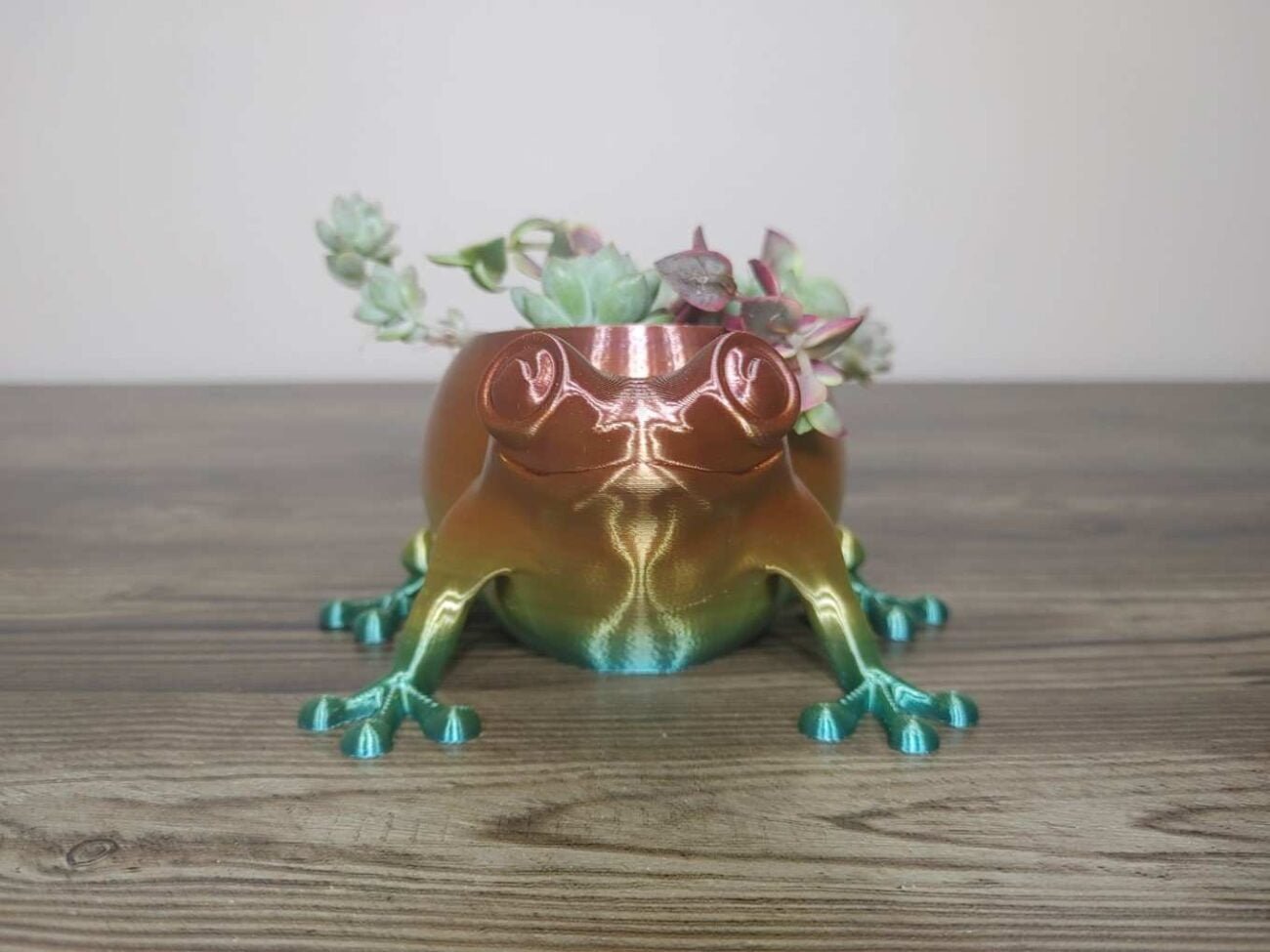 Jamie Creates 3D Printed Animal Planter Frog Rainbow Colour with Succulent X-Small Front Frog Planter - Rapid Rainbow - Select Size