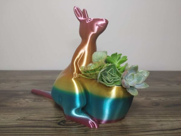 Kangaroo Planter - Rapid Rainbow - Select Size