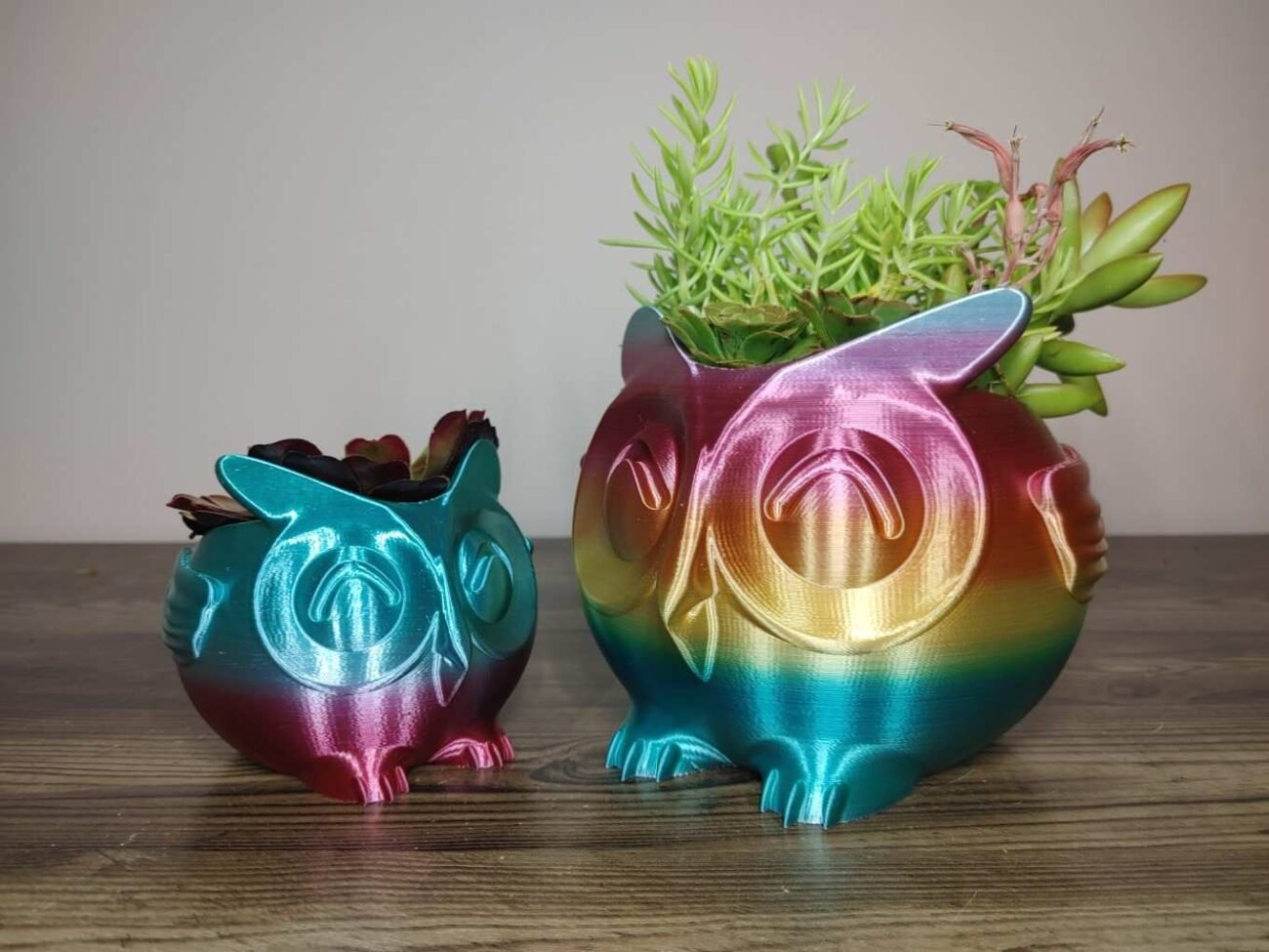 Jamie Creates 3D Printed Animal Planter Owl Rainbow Colour with Succulent 2 Sizes Owl Planter - Rapid Rainbow - Select Size
