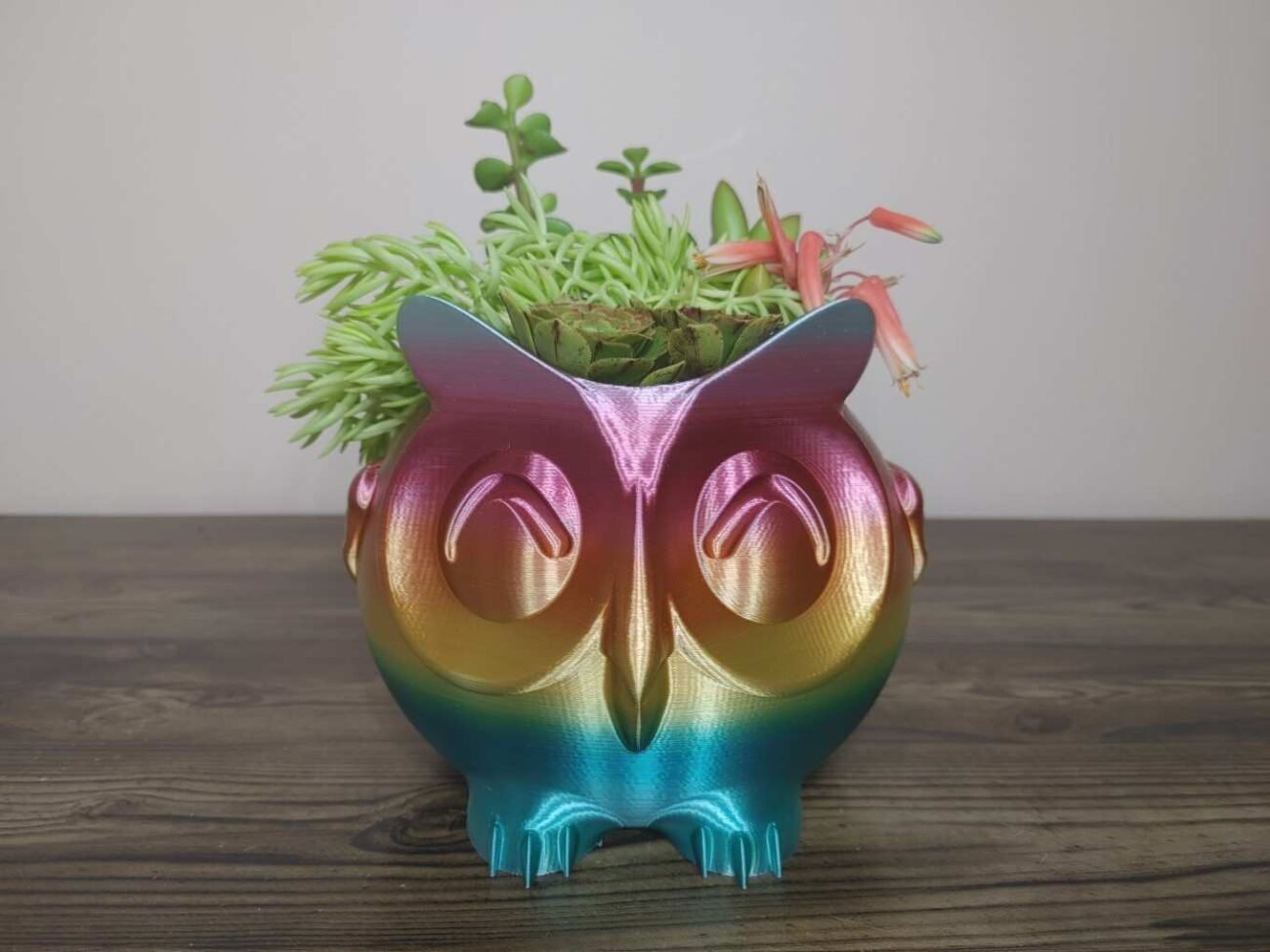 Jamie Creates 3D Printed Animal Planter Owl Rainbow Colour with Succulent Medium Front Owl Planter - Rapid Rainbow - Select Size