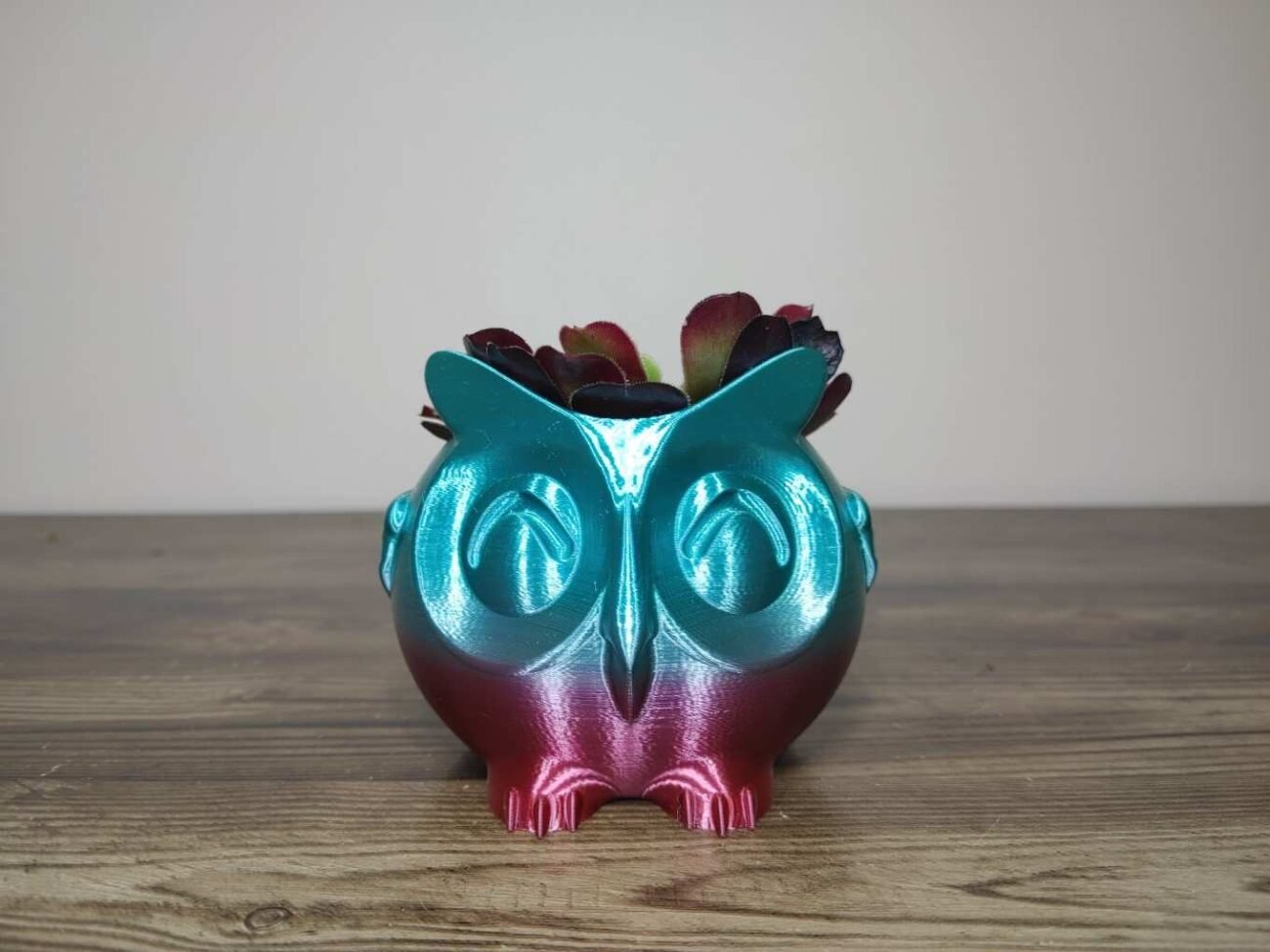 Jamie Creates 3D Printed Animal Planter Owl Rainbow Colour with Succulent X-Small Front Owl Planter - Rapid Rainbow - Select Size