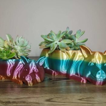 Pig Planter - Rapid Rainbow - Select Size