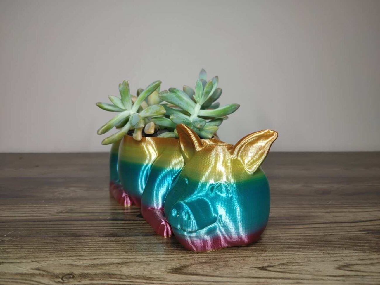 Jamie Creates 3D Printed Animal Planter Pig Rainbow Colour with Succulent Medium Front Pig Planter - Rapid Rainbow - Select Size