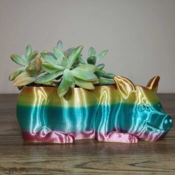 Pig Planter - Rapid Rainbow - Select Size