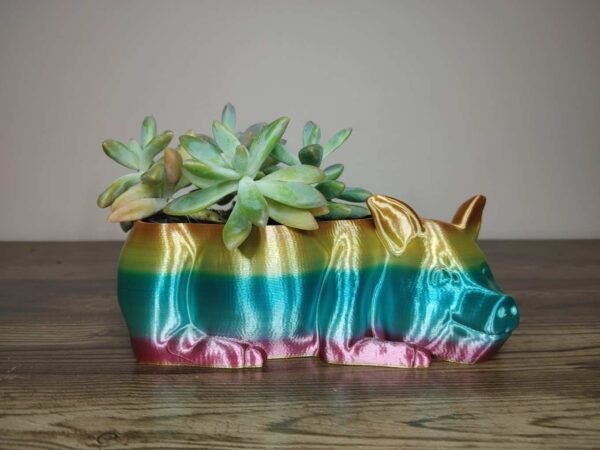 Pig Planter - Rapid Rainbow - Select Size