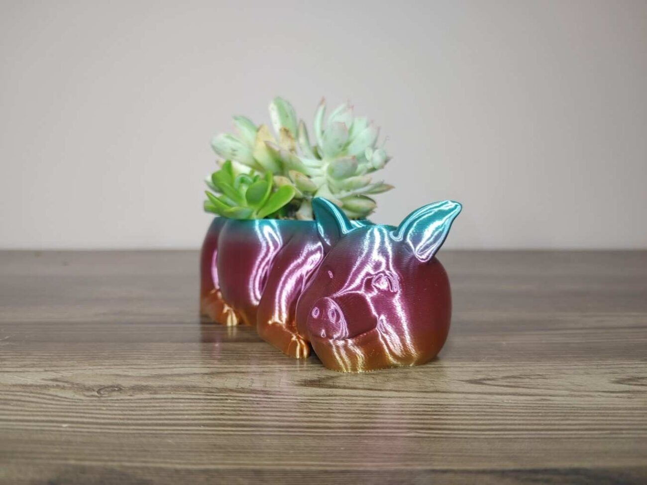 Jamie Creates 3D Printed Animal Planter Pig Rainbow Colour with Succulent X-Small FA Pig Planter - Rapid Rainbow - Select Size