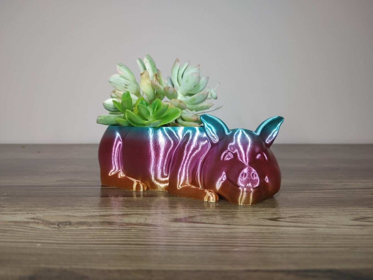 Jamie Creates 3D Printed Animal Planter Pig Rainbow Colour with Succulent X-Small Other FA Pig Planter - Rapid Rainbow - Select Size