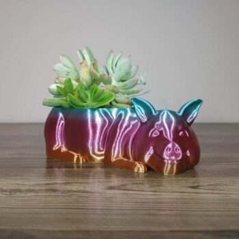 Jamie Creates 3D Printed Animal Planter Pig Rainbow Colour with Succulent X-Small Other FA Pig Planter - Rapid Rainbow - Select Size