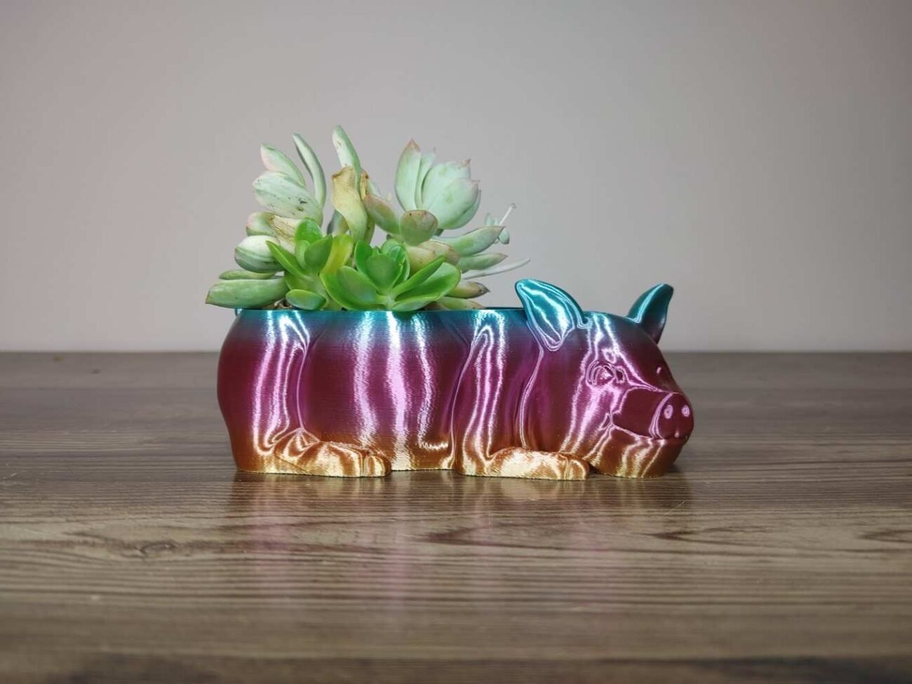 Jamie Creates 3D Printed Animal Planter Pig Rainbow Colour with Succulent X-Small Side Pig Planter - Rapid Rainbow - Select Size