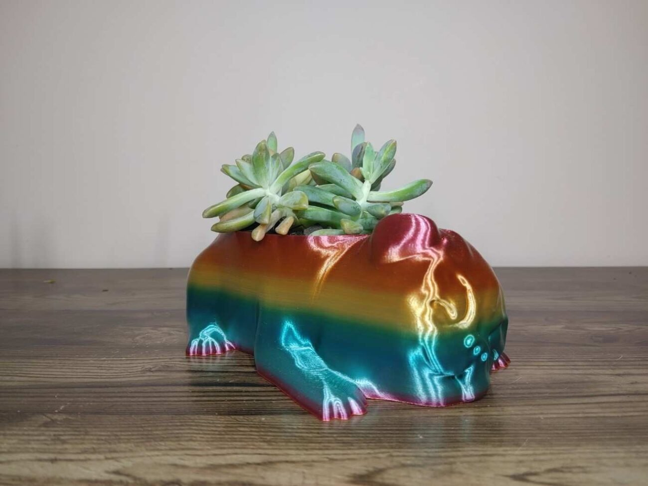 Jamie Creates 3D Printed Animal Planter Pug Dog Rainbow Colour with Succulent Medium FA