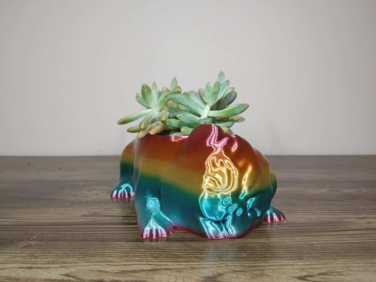 Jamie Creates 3D Printed Animal Planter Pug Dog Rainbow Colour with Succulent Medium Other FA Pug Dog Planter - Rapid Rainbow - Select Size