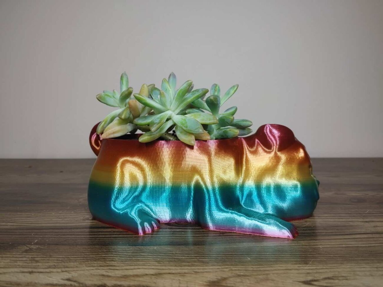 Jamie Creates 3D Printed Animal Planter Pug Dog Rainbow Colour with Succulent Medium Side Pug Dog Planter - Rapid Rainbow - Select Size