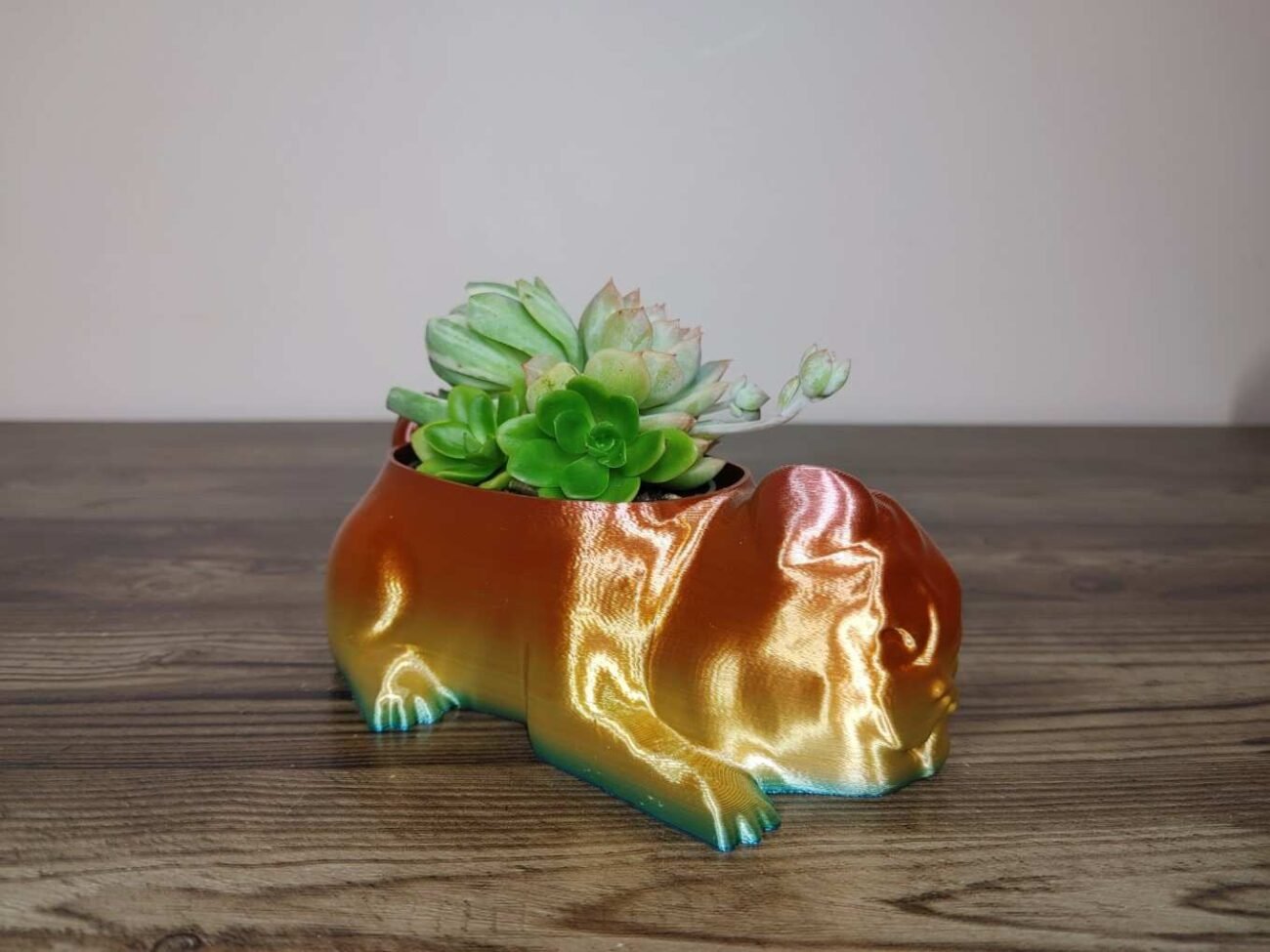Jamie Creates 3D Printed Animal Planter Pug Dog Rainbow Colour with Succulent X-Small FA Pug Dog Planter - Rapid Rainbow - Select Size
