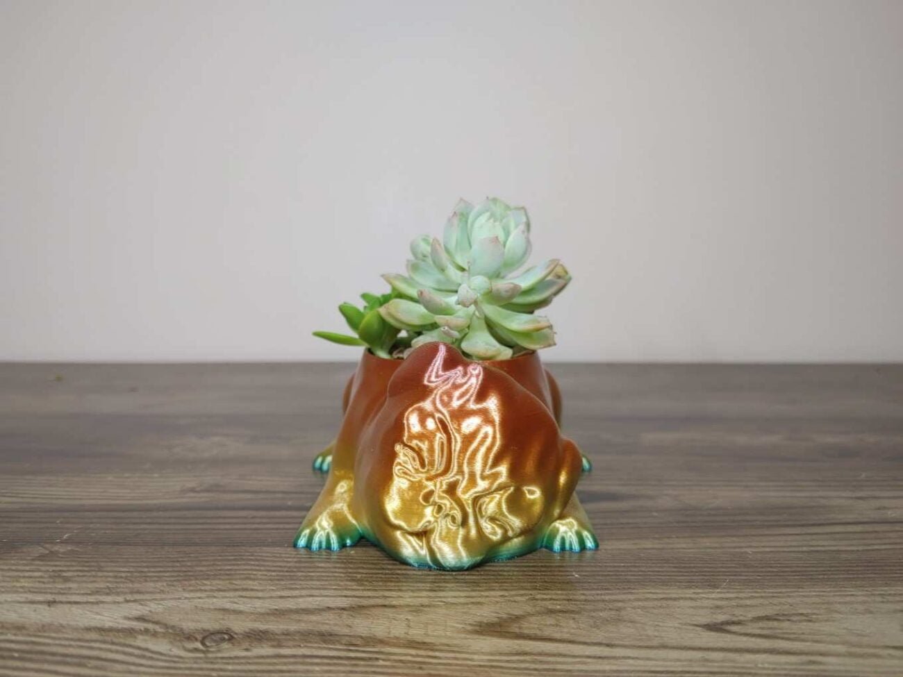 Jamie Creates 3D Printed Animal Planter Pug Dog Rainbow Colour with Succulent X-Small Front Pug Dog Planter - Rapid Rainbow - Select Size
