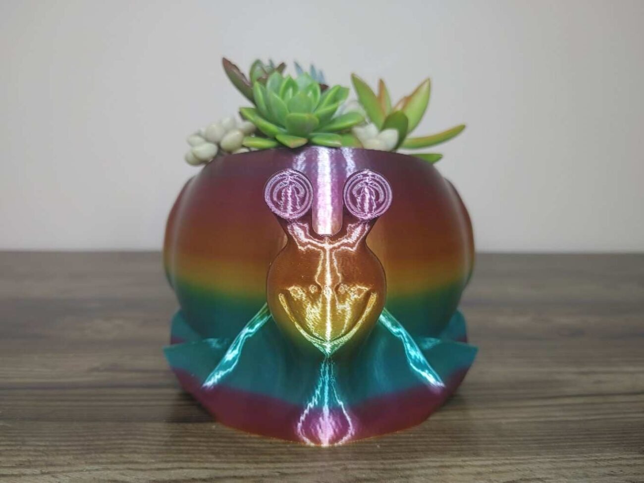Jamie Creates 3D Printed Animal Planter Snail Rainbow Colour with Succulent Medium Front Snail Planter - Rapid Rainbow - Select Size