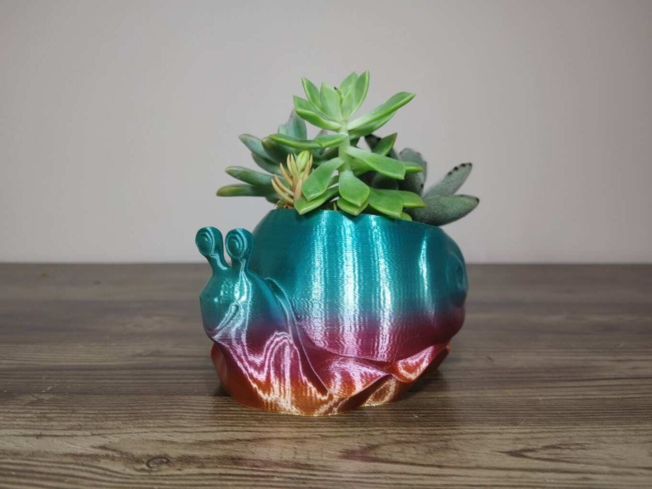 Jamie Creates 3D Printed Animal Planter Snail Rainbow Colour with Succulent X-Small FA Snail Planter - Rapid Rainbow - Select Size