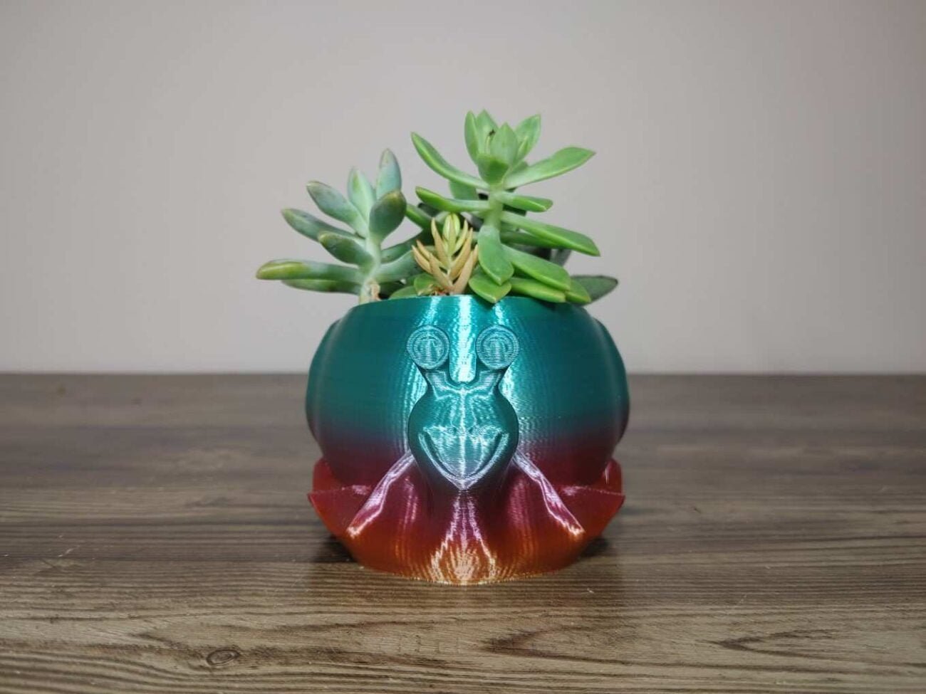 Jamie Creates 3D Printed Animal Planter Snail Rainbow Colour with Succulent X-Small Front Snail Planter - Rapid Rainbow - Select Size