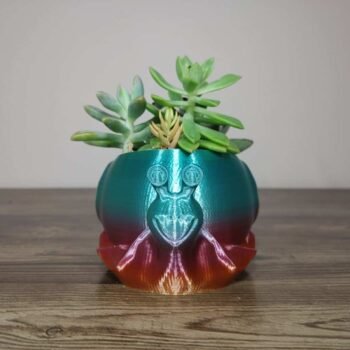 Jamie Creates 3D Printed Animal Planter Snail Rainbow Colour with Succulent X Small Front