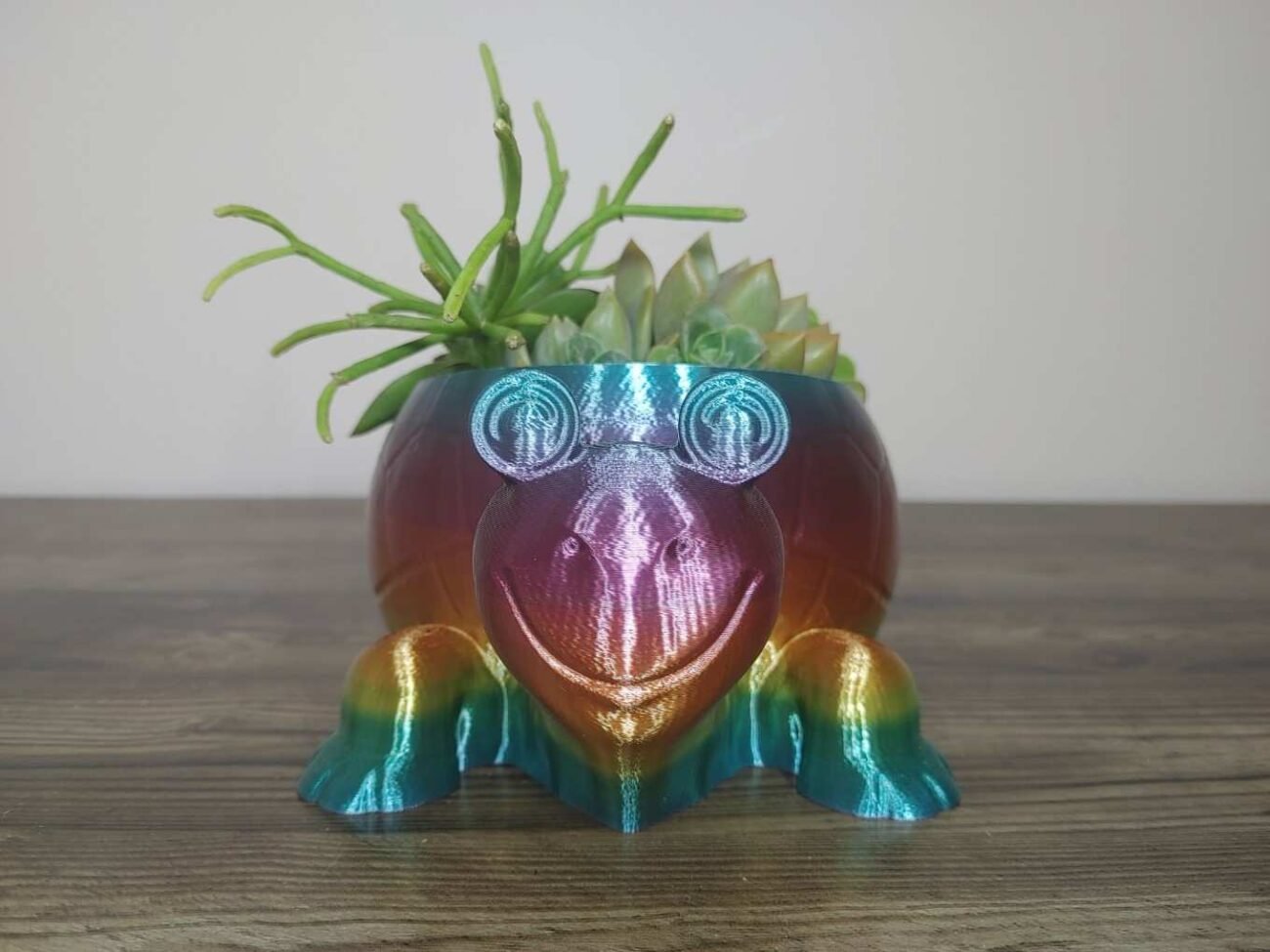 Jamie Creates 3D Printed Animal Planter Tortoise Rainbow Colour with Succulent Medium Front Tortoise Planter - Rapid Rainbow - Select Size