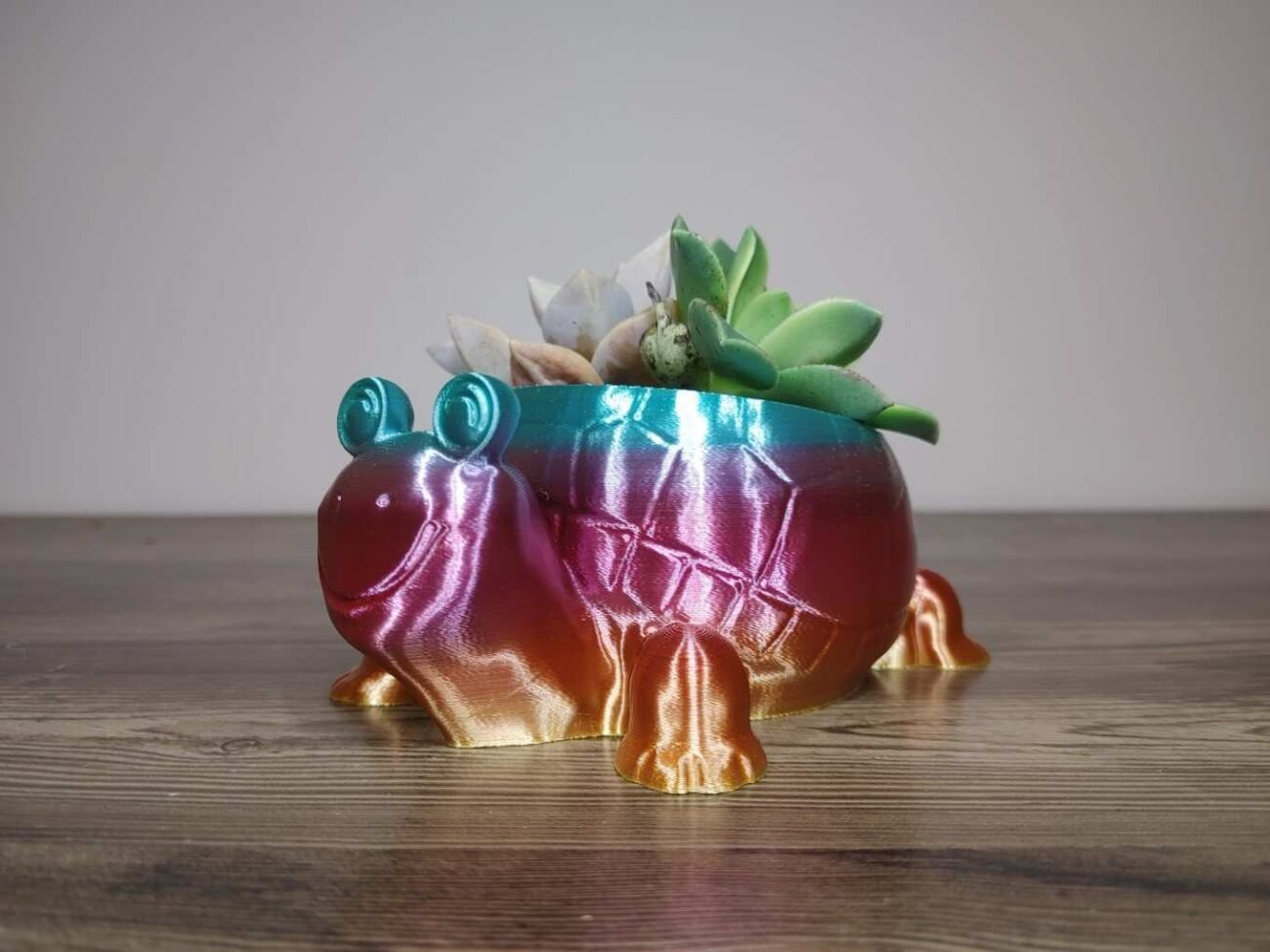 Jamie Creates 3D Printed Animal Planter Tortoise Rainbow Colour with Succulent X-Small FA Tortoise Planter - Rapid Rainbow - Select Size