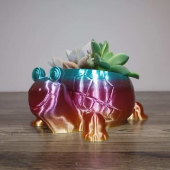 Tortoise Planter - Rapid Rainbow - Select Size