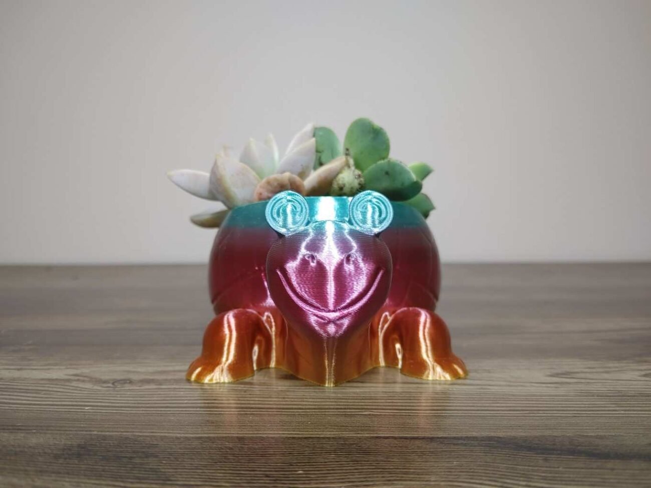Jamie Creates 3D Printed Animal Planter Tortoise Rainbow Colour with Succulent X-Small Front Tortoise Planter - Rapid Rainbow - Select Size