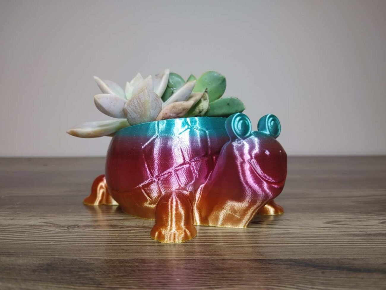 Jamie Creates 3D Printed Animal Planter Tortoise Rainbow Colour with Succulent X-Small Other FA Tortoise Planter - Rapid Rainbow - Select Size