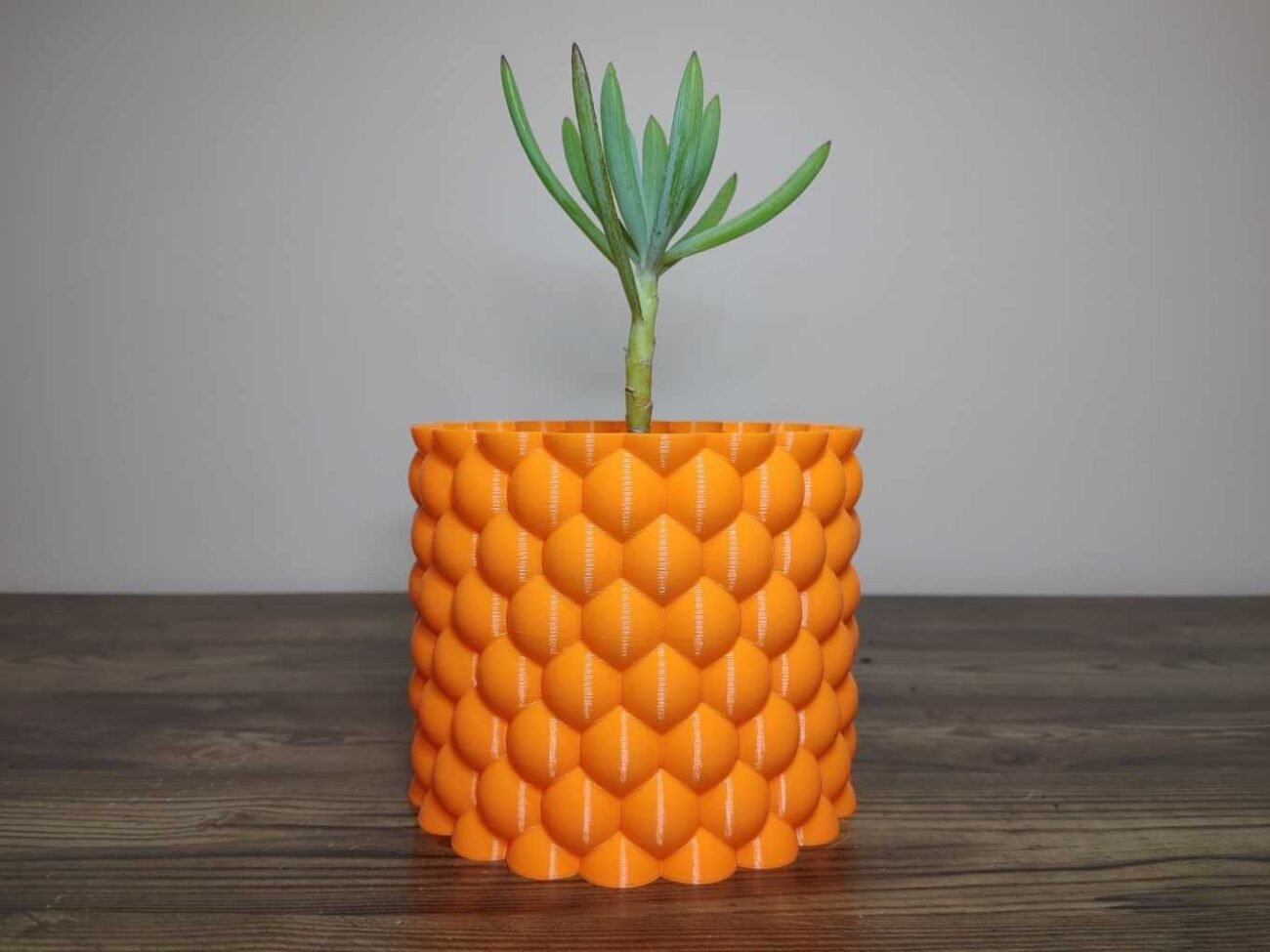 Jamie Creates 3D Printed Vase Planter Bubbly Single Colour with Succulent Bubbly Vase - Select Size